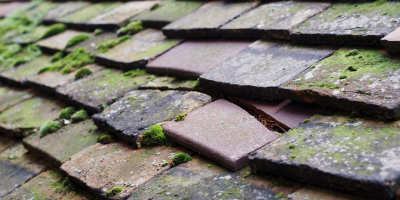 Rhosmeirch roof repair costs